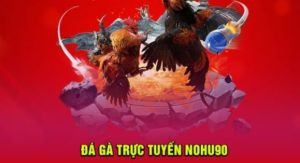 Tham gia Đá Gà Nohu90, bạn có thể nhận được rất nhiều tiền thưởng khủng