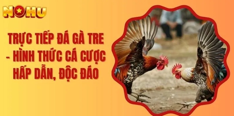 Thêm vào đó bạn cũng có thể chơi trực tuyến trên web, không cần tải.